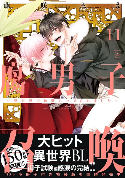 腐男子召喚〜異世界で神獣にハメられました〜 : 11 【特別描き下ろし漫画付き】