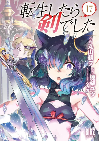 転生したら剣でした （17） 【電子限定おまけ付き】